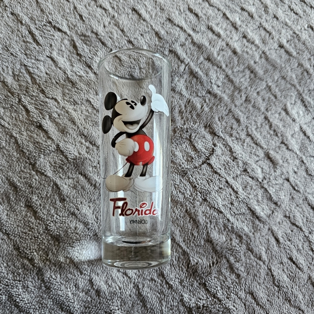 Disney World Double Shot Glass Florida - Picture 1 of 2